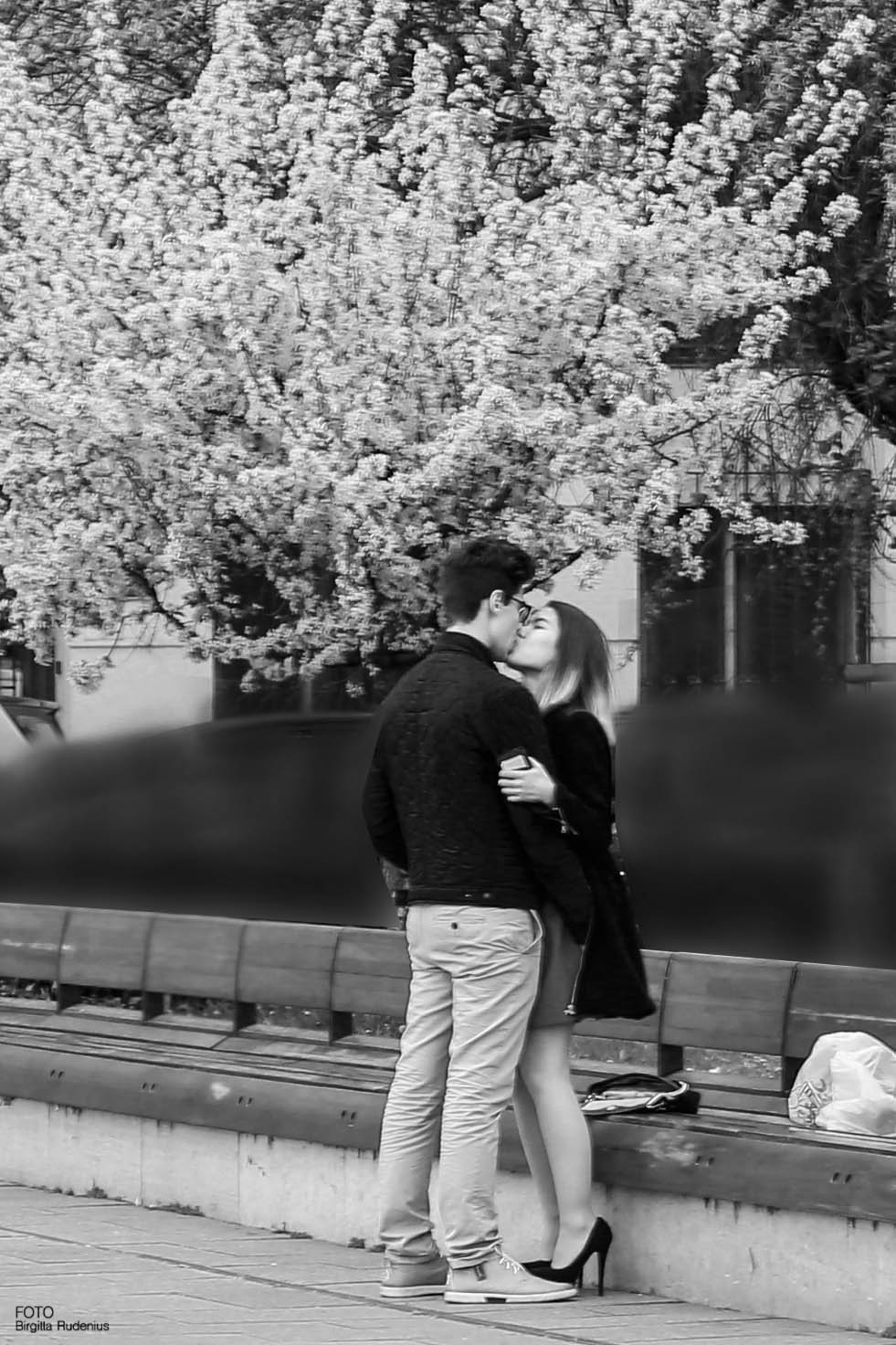 PiPP - Love Budapest