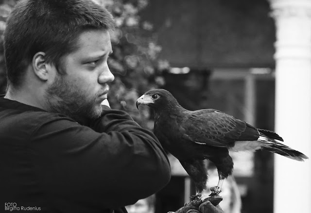 The Falconer and his Hawk