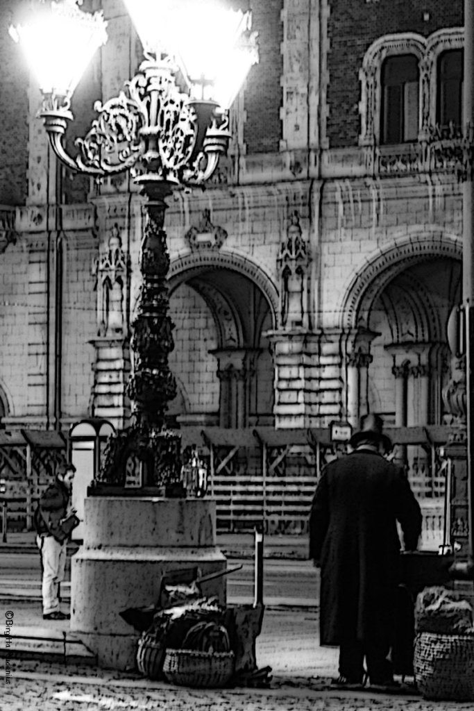 street_20130111_chestnuts