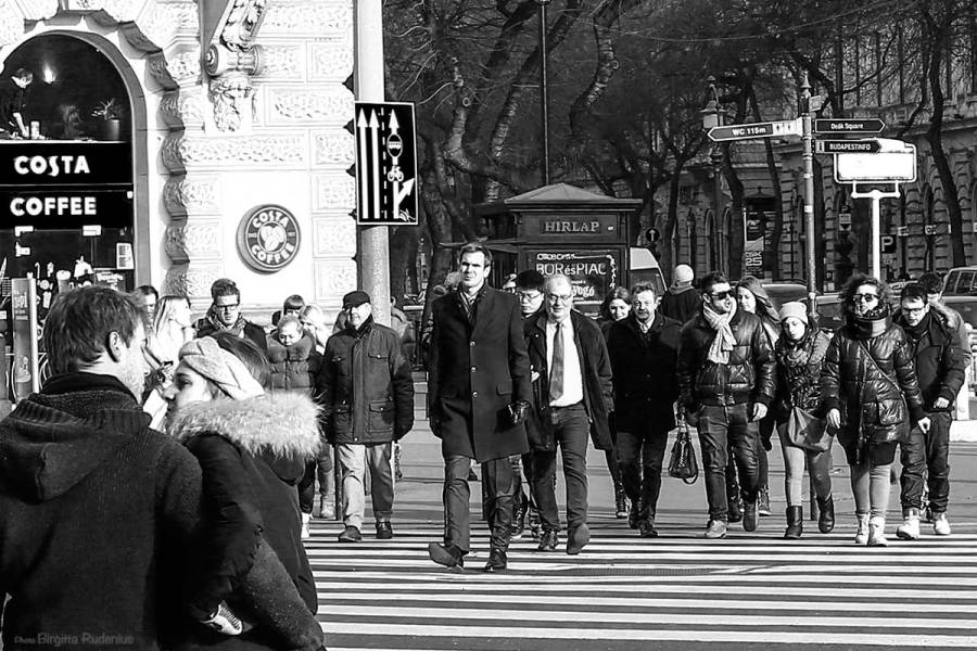 PiPP_20140102_walkover