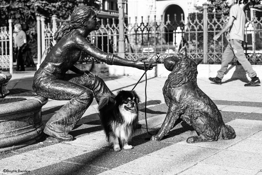 2013_280_1007_minfavorit