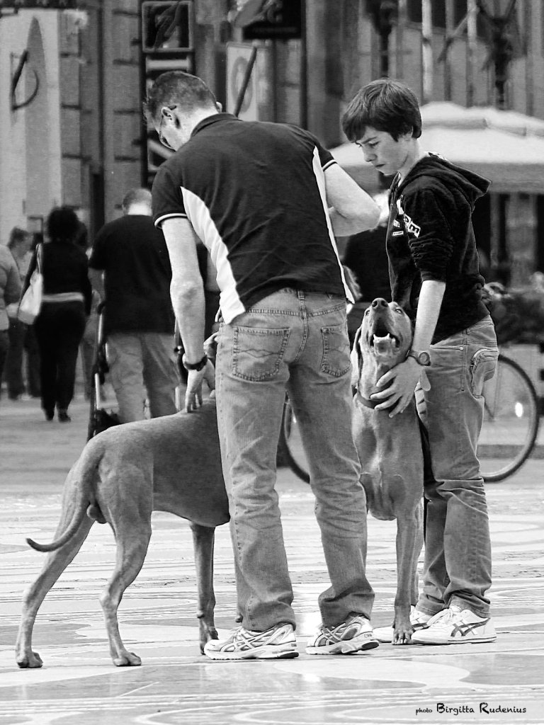people_20130515_dogs