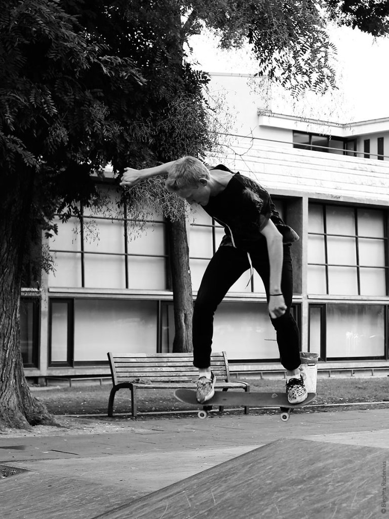 PiPP_20130829_skateup