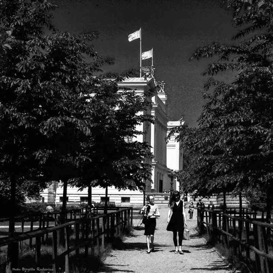 PiPP_20140523_university