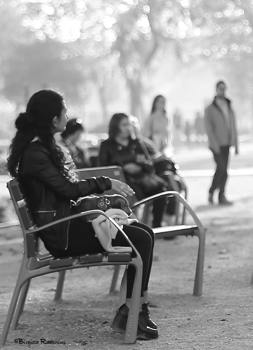 Street Photo - First Day with Puppy.