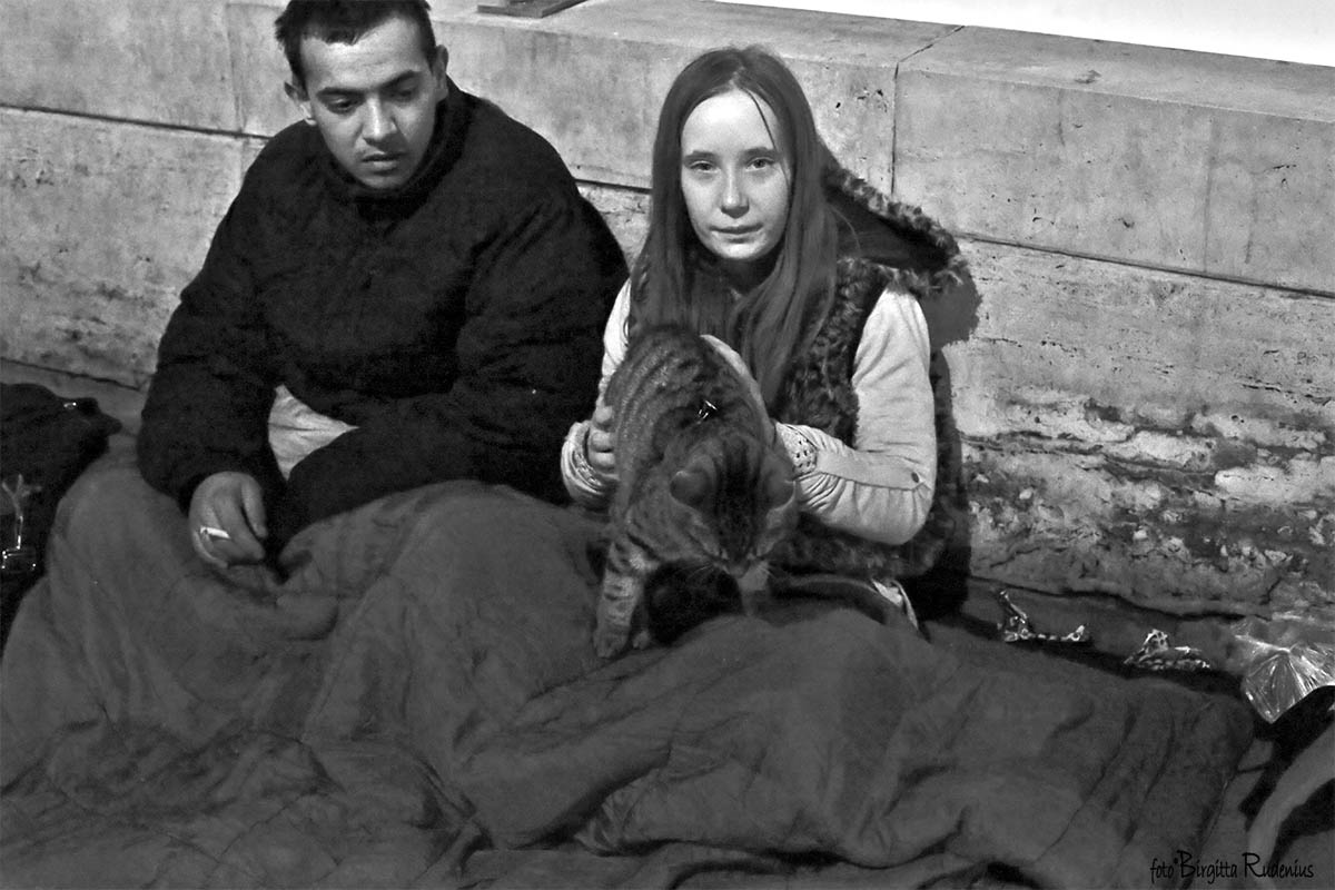 Street Photo - The beautiful Cat