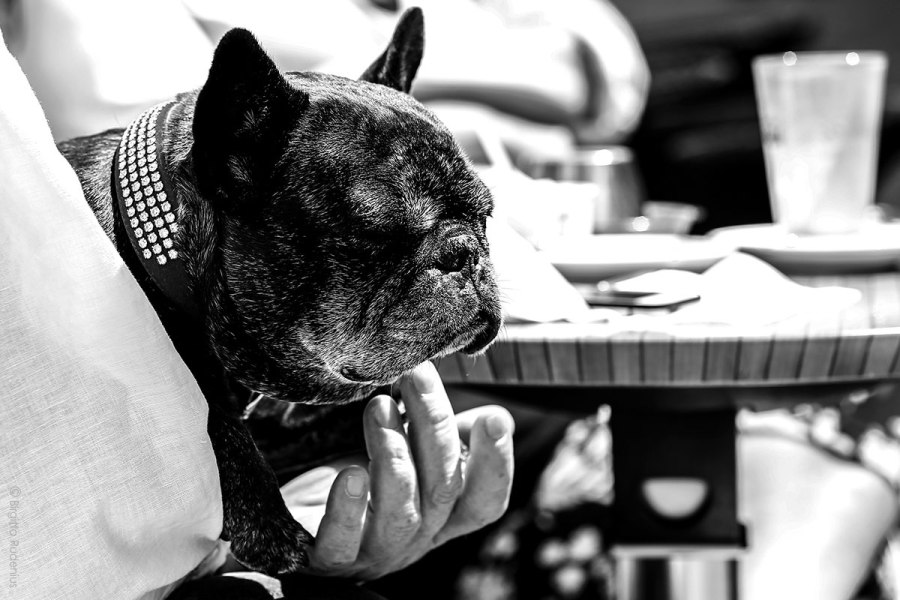 PiPP_20140627_dadsgirl