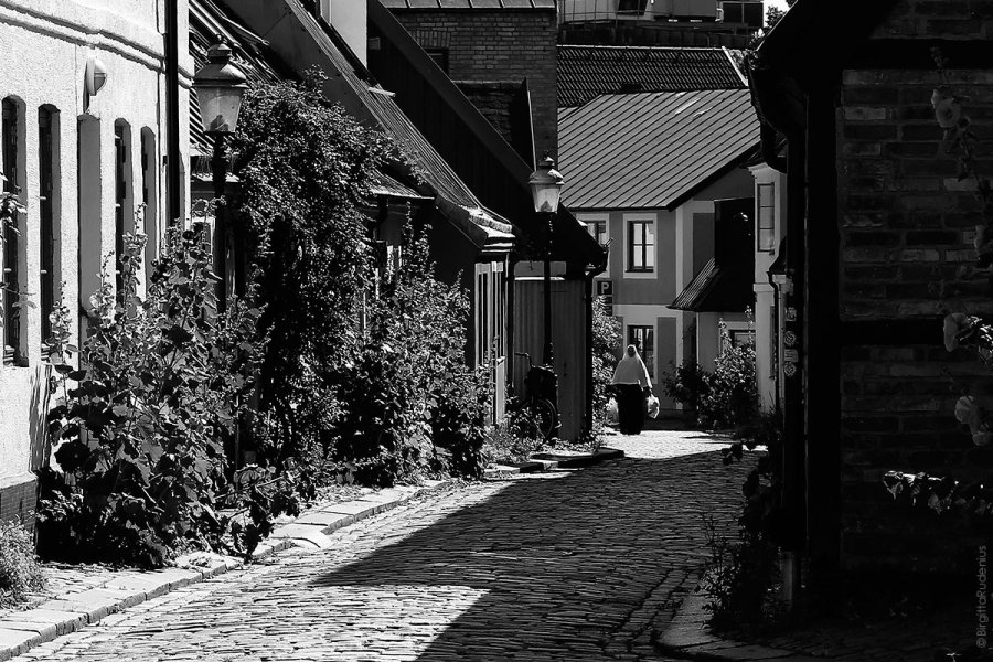 PiPP_20130721_shopping