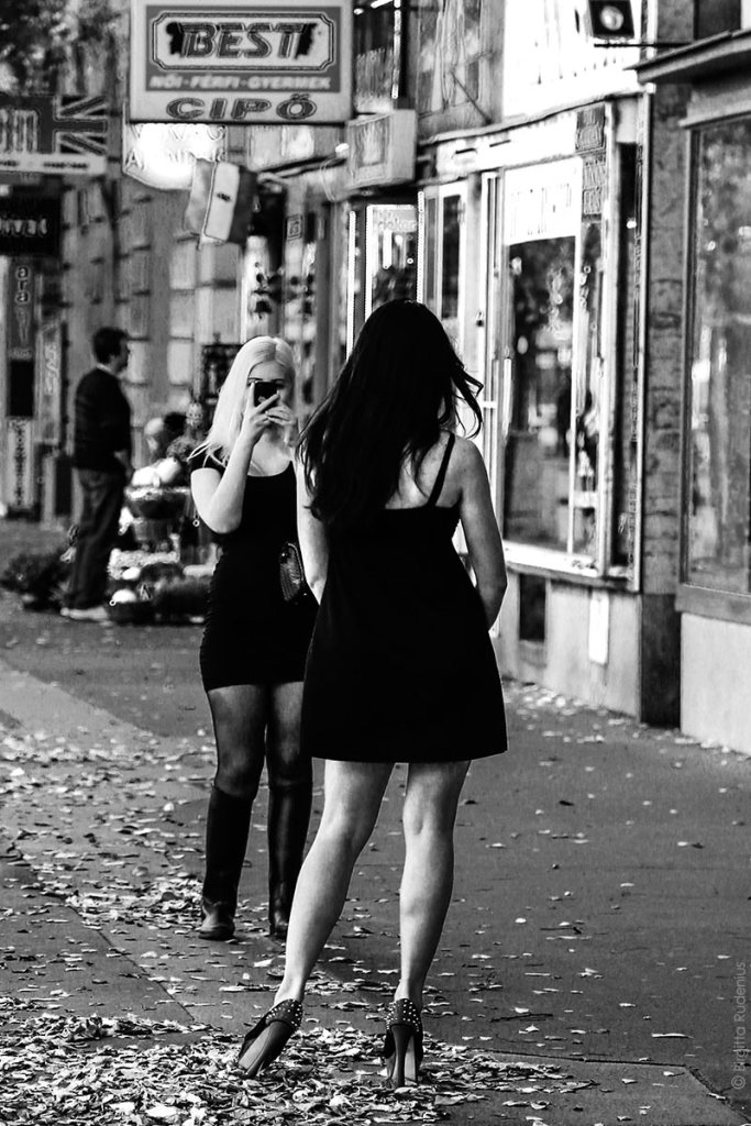 PiPP_20131023_ladyshoe1