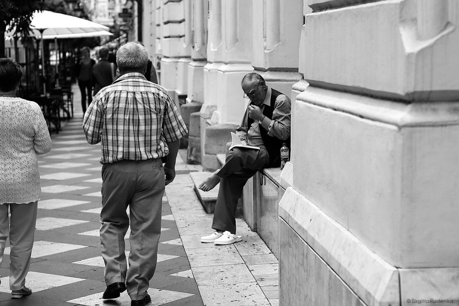 PiPP_20130829_reading