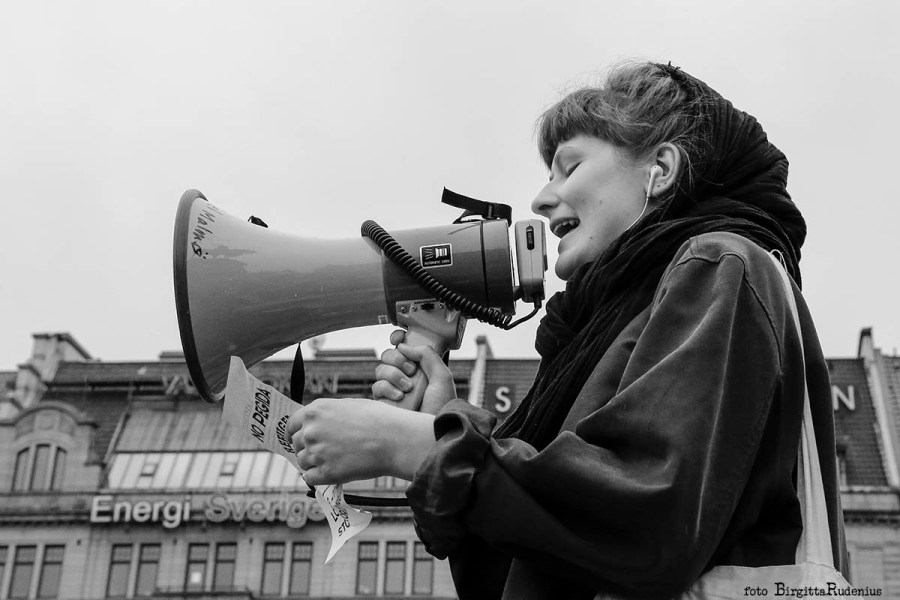 PiPP_20150627_noPegida