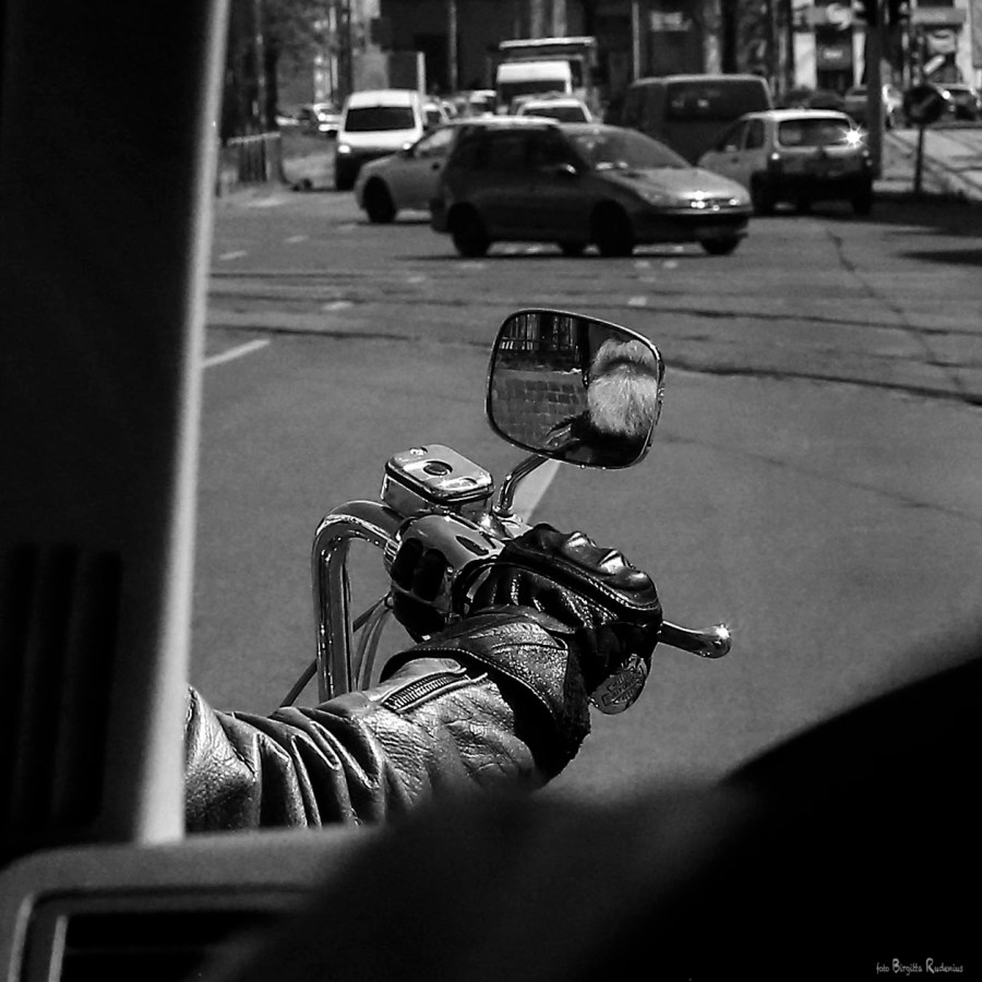 PiPP_20150429_bikersbeard