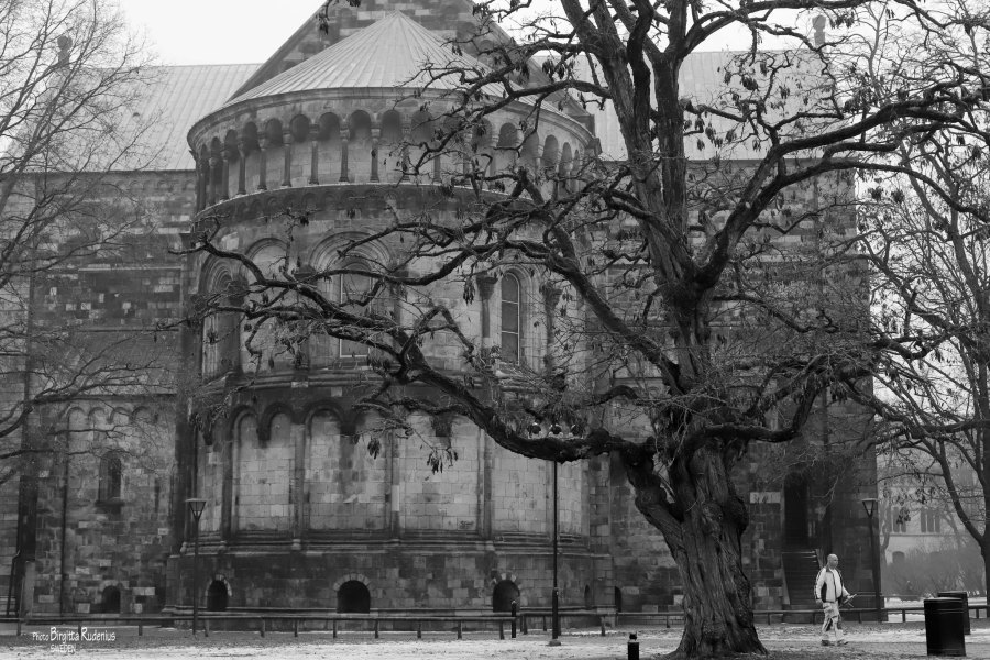 Street Photo © Birgitta Rudenius